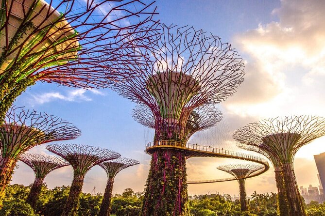 Half Day Private Guided Tour Through Singapores Iconic Landmarks - Common Questions