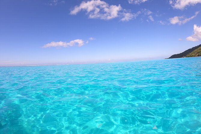 Half-Day Private Lagoon Tour by Boat in French Polynesia - Snorkeling Opportunities