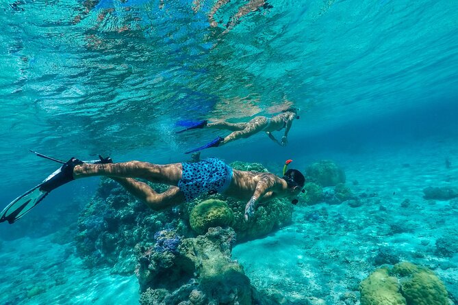 Half-Day Private Luxury Tour From Bora Bora - Directions and Contact Information