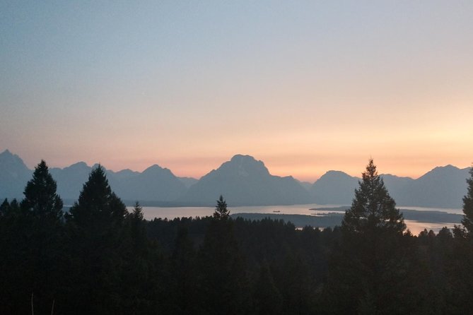 Half Day Private Sunset Wildlife Safari - Wildlife Sightings