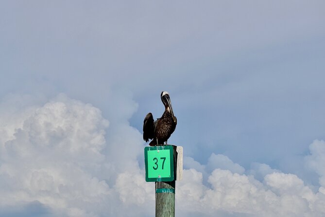 Half-Day Private Tiki Boat Beach Tour From Fort Myers - Pricing and Contact