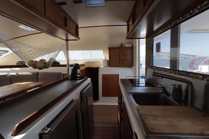 Half-Day Private Tour in Catamaran Ria Formosa - Wildlife and Nature Encounters