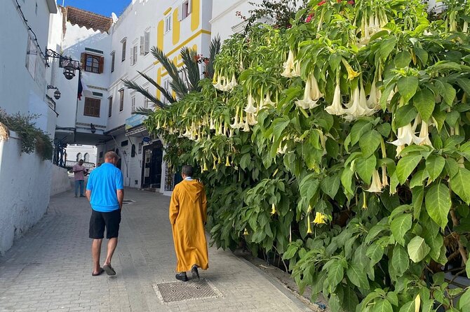 Half-Day Private Tour in Tangier - Common Questions