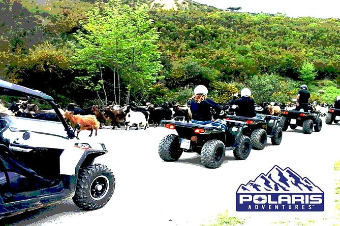 Half-Day Rethymno Quad Safari - Customer Service and Satisfaction