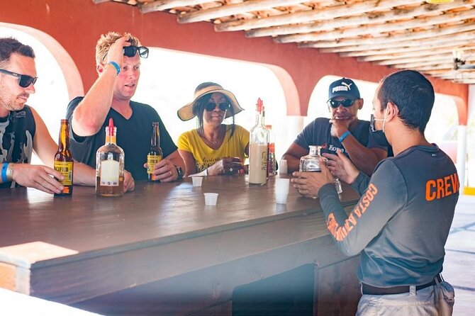 Half-Day San José Del Cabo Zip Line and Rappel Adventure - Contact Viator for Assistance