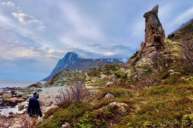 Half-Day Scenic Wildlife & Photographic Fjord Tour. - Snacks and Warm Clothing Provided