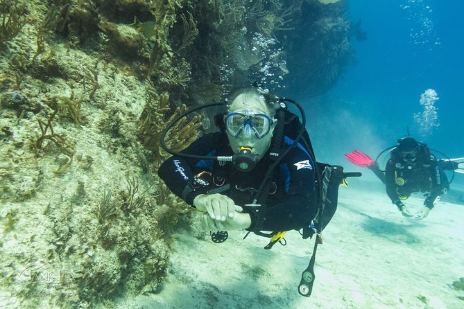 Half-Day Scuba Diving in Playa Del Carmen for Small-Group - Directions to Tank-Ha Dive Center