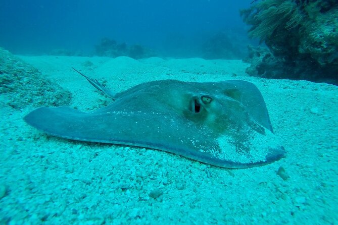Half Day Scuba Diving Trip in the Florida Keys - Cancellation Policy and Reviews