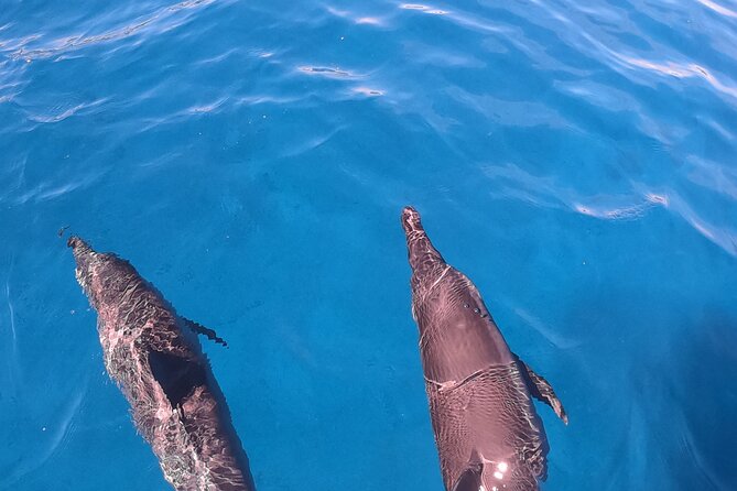 Half-Day Snorkeling Tour From Papeete - Traveler Photos and Reviews