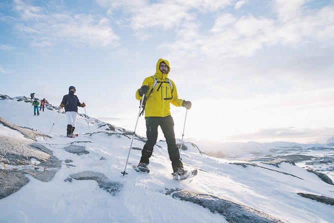 Half Day Snowshoe Tour - Price and Inclusions