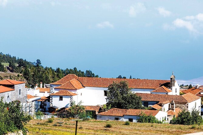 Half Day Southern Rural Tenerife Tour With Wine Tasting - Common Questions