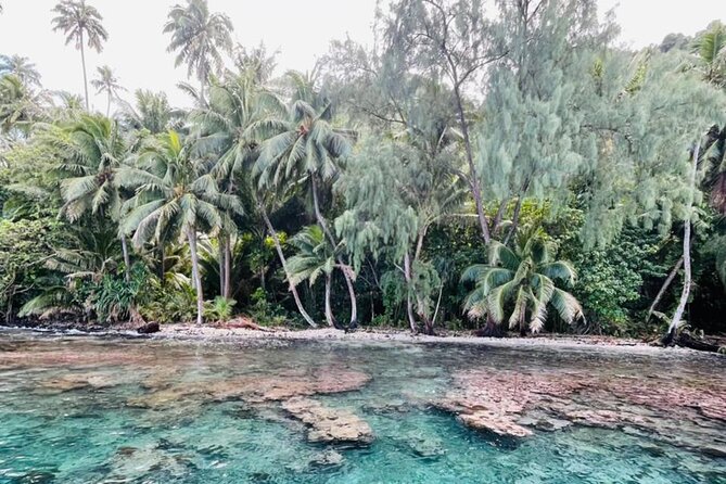 Half Day Tahiti Peninsula and Teahupoo Boat Tour (Shared Boat) - Meeting Point and Departure
