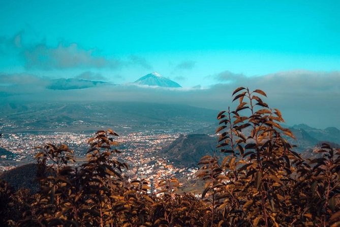 Half Day Tour Discovering Anaga Tenerife - Directions
