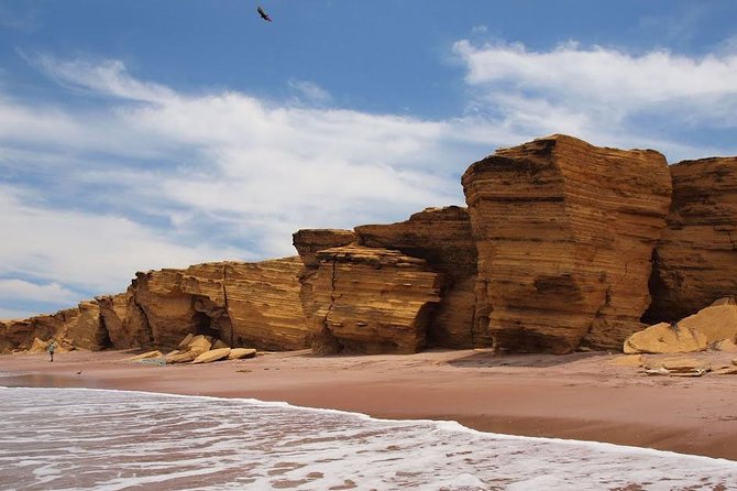 Half-Day Tour of Paracas National Reserve From San Martin Port - The Sum Up
