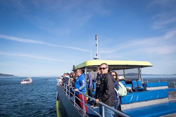 Half-Day Whale Watching Adventure From Vancouver - Customer Reviews and Overall Experience
