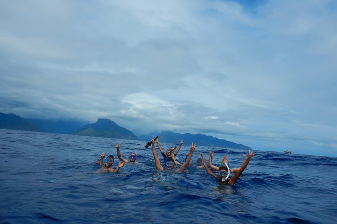 Half-Day Whale Watching and Swimming Tour, Moorea - What To Expect