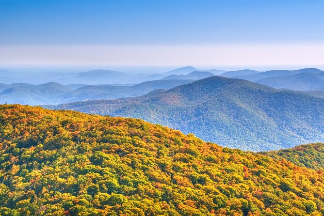 Half-Day Wine Tastings in the North Georgia Mountains - Inclusions