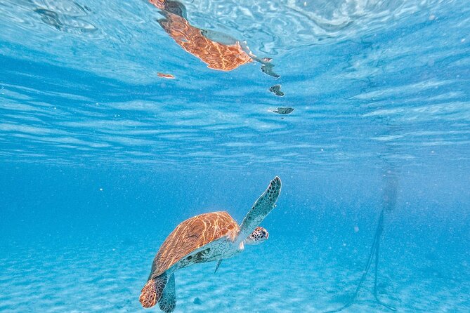 Hato Caves, Turtles & Beach - Traveler Reviews and Feedback