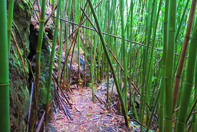 Hawaiian Waterfall Hike - Cancellation Policy