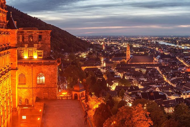 Heidelberg and Rhine Valley Day Trip With Wine Tasting and Dinner From Frankfurt - Inclusions and Logistics