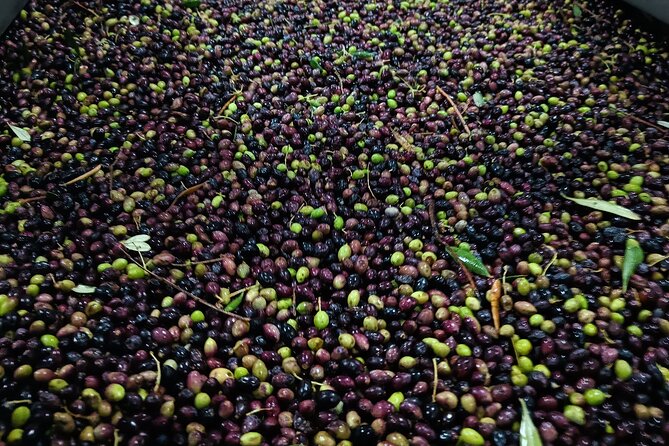 Heraklion: Visit A Family-Run Olive Mill With Food Pairing - Tips for Visiting the Family-Run Olive Mill