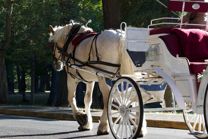 Heritage Horse-Drawn Carriage Tour of Victoria - James Bay: One of Vancouver Islands Oldest Neighborhoods