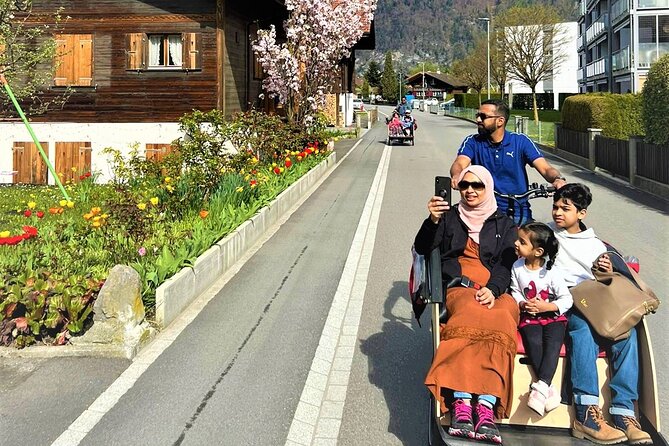 Hidden Gems E-Bike Tour With Picnic at Lake Brienz - Food and Snacks
