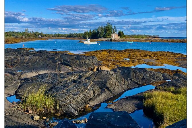 Highlights of Lunenburg: Small-Group Guided Tour  - Halifax - Traveler Photos