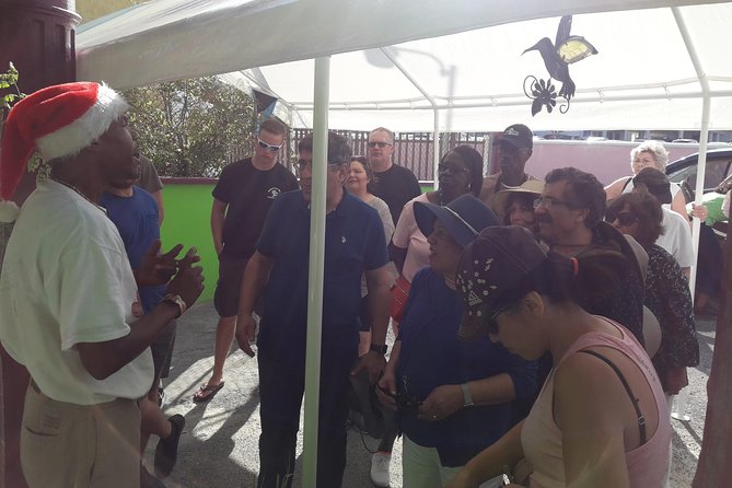 Highlights of Nassau Tour - Customer Experiences and Reviews