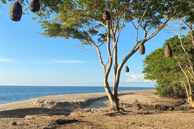Hike and Yoga Jungle Experience in Mexico - What To Expect