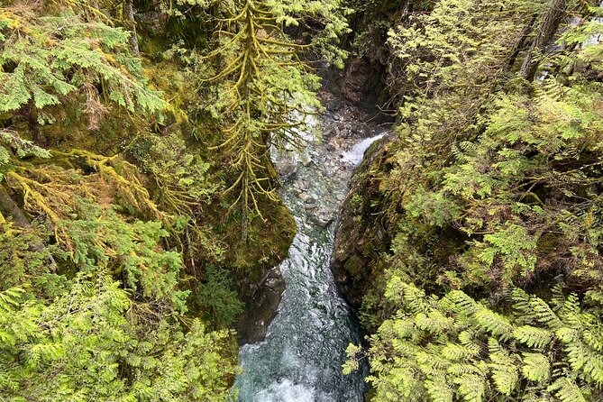 Hike Lynn Canyon and Bike Seymour Demonstration Forest - What to Bring for the Adventure