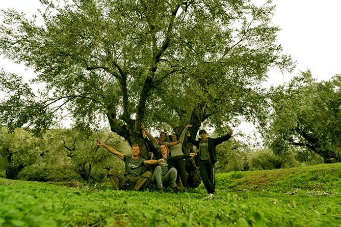 HIKE or BIKE DELPHI Private Guided Tour With Olive Culture Option - Additional Visit to Archaeological Site