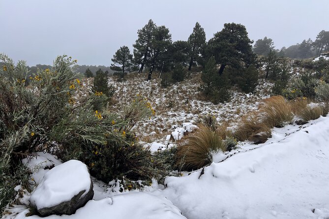 Hike Snowy Mountain Nevado Toluca (Private Tour From Mexico City) - Positive Traveler Experiences and Reviews