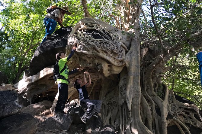 Hike the Native Pericu Road in Sierra De La Laguna. - Additional Information