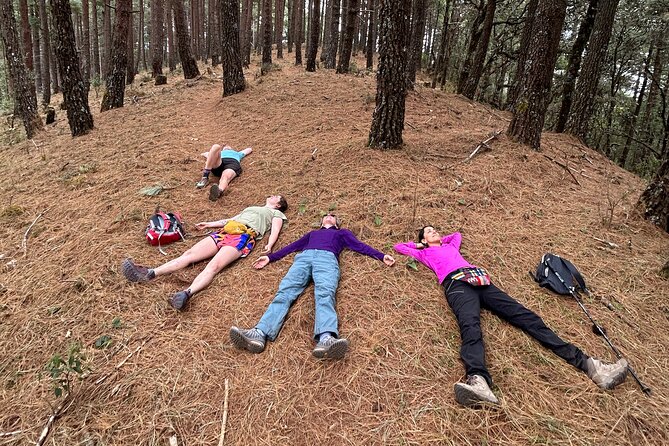 Hike Through the Forest of the Sierra Norte De Oaxaca - Traveler Photos