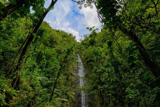 Hike Trail to Waterfall & Nature Walk - Additional Positive Reviews