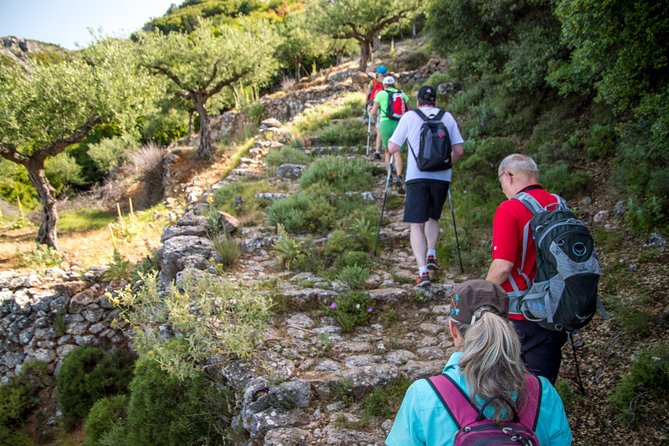 Hiking Above Kalamata - Wildlife and Flora to Look Out For