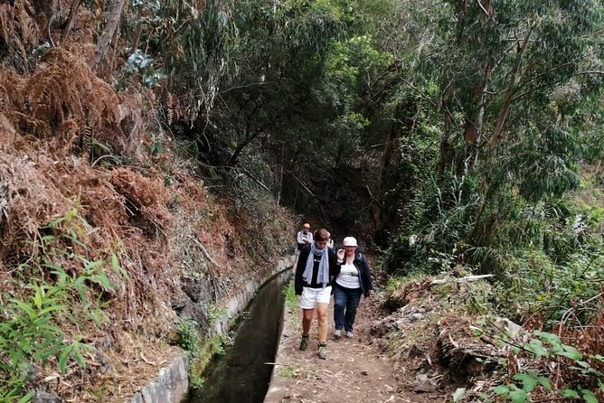 Hiking and Trekking Tours in Madeira - Cancellation Policy and Refunds