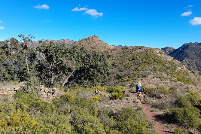 Hiking & Cheese Tasting: Private Tour From Valencia - Hiking Difficulty and Trail Highlights