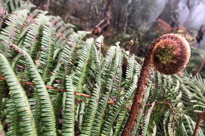 Hiking Fansipan in 1 Day - Tips for a Successful Hike