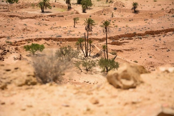 Hiking in the Berber Villages of Southern Tunisia - Immersive Experiences With the Berber Community