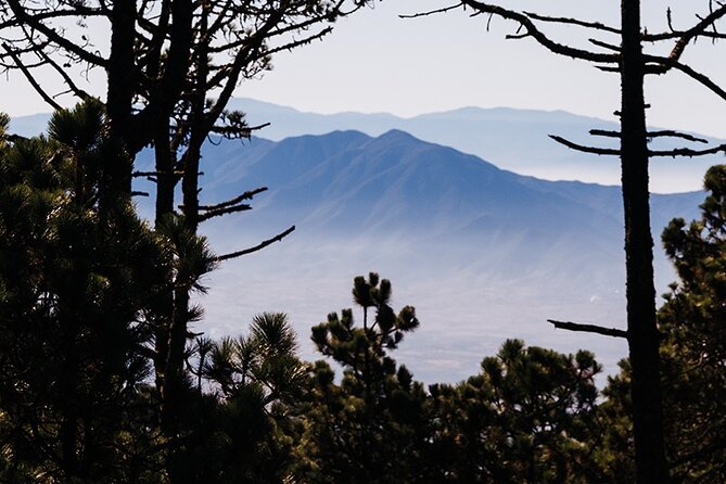 Hiking in the Enchanted Forest of Ixtepeji With Rescue Dogs - Pricing Options: Affordable Packages for Every Budget
