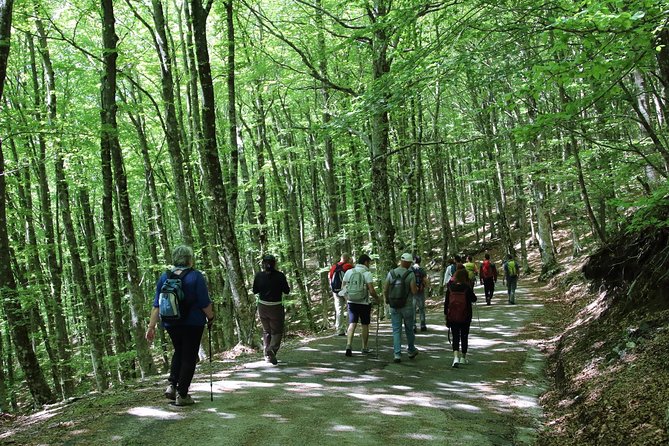 Hiking on Faito Mountain From Sorrento - Copyright and Terms and Conditions for the Hiking Experience