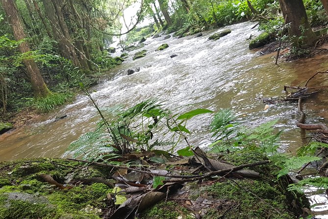 Hill Tribe Experience at Home Stay & Hiking 3 Days Tour - The Sum Up