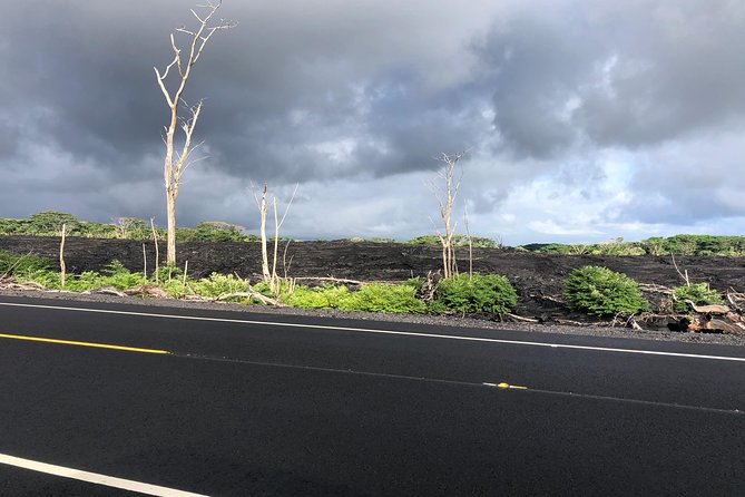 Hilo Shore Excursion: Volcano Safari Lava Caves, Falls & Highlights Small Group - Overall Positive Experience and Appreciation for Reviews