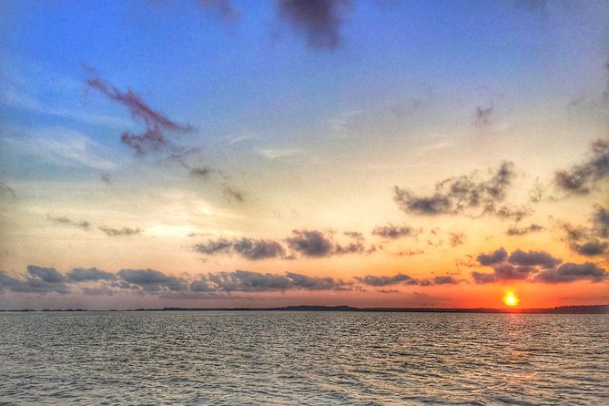 Hilton Head Guided Kayak Eco Tour - Cancellation Policy