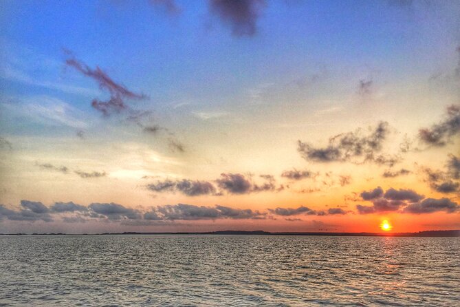 Hilton Head Island Sunset Dolphin Tour - Miscellaneous Information