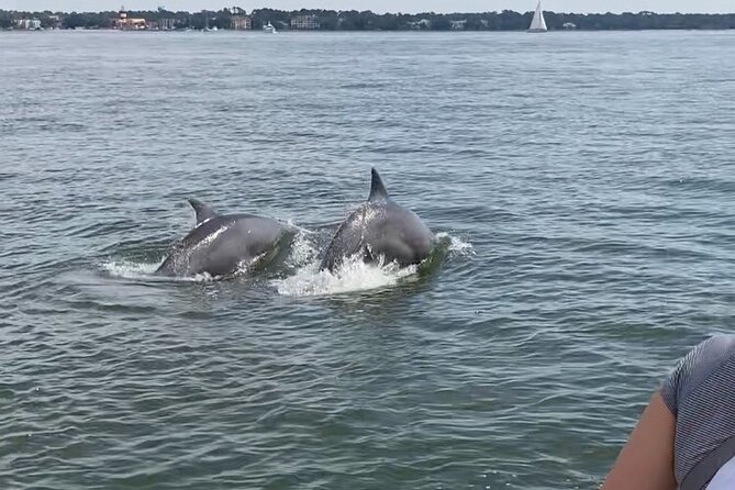 Hilton Head Vanishing Mile Isle Private Boat Charter  - Hilton Head Island - Additional Information