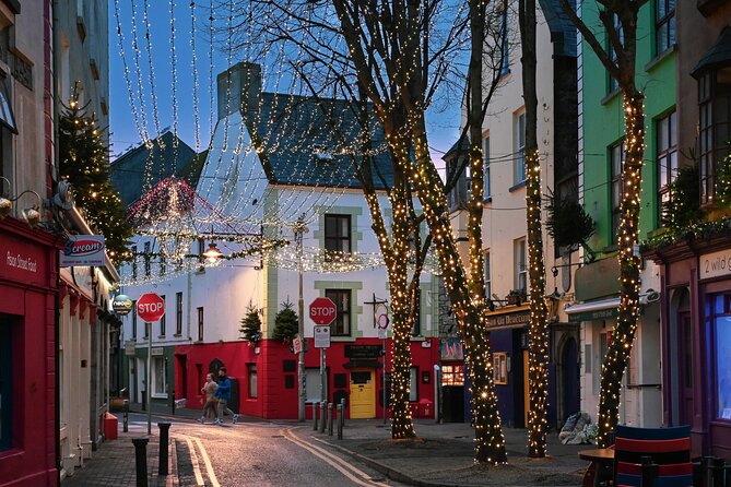 Historical Group Tour of Galway - Tour Details