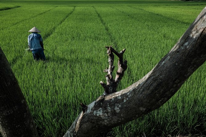 Hoi An Farming Village Sunset Photography Tour - Expert Photographer and Guided Tour